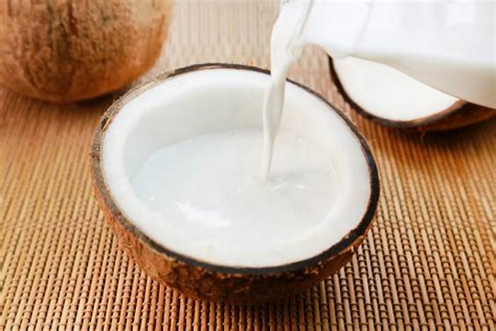 Organic Coconut Milk