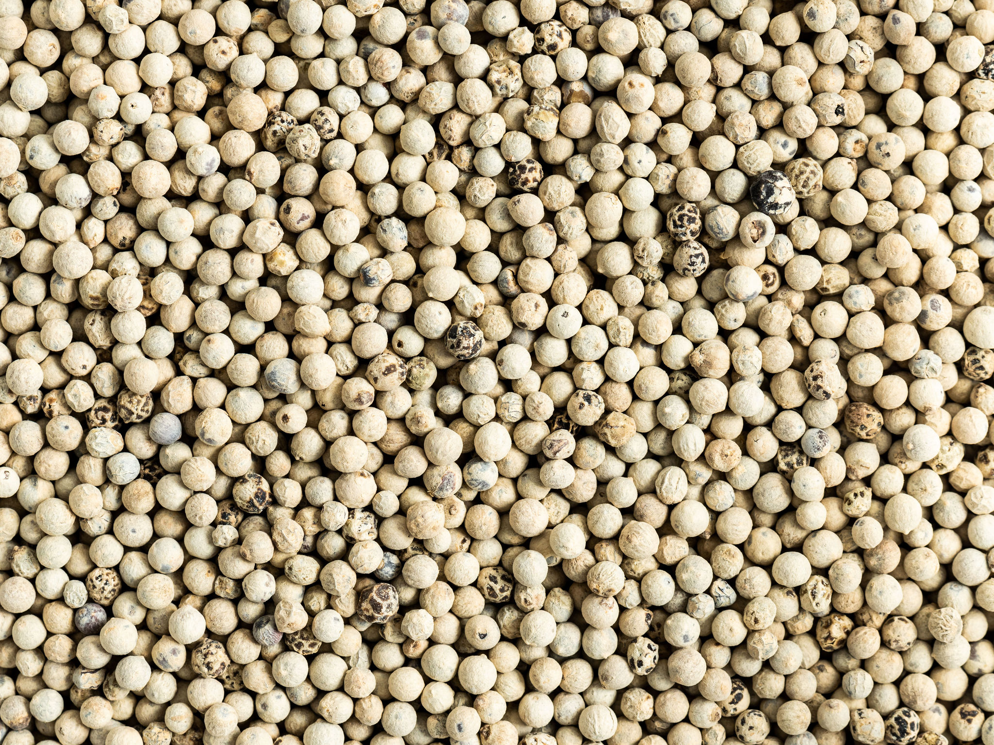 Organic White Pepper